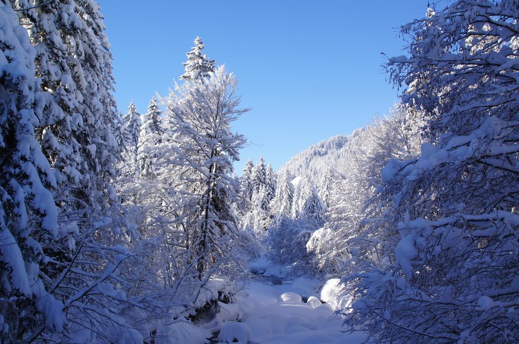 Almblick Apartment Balderschwang